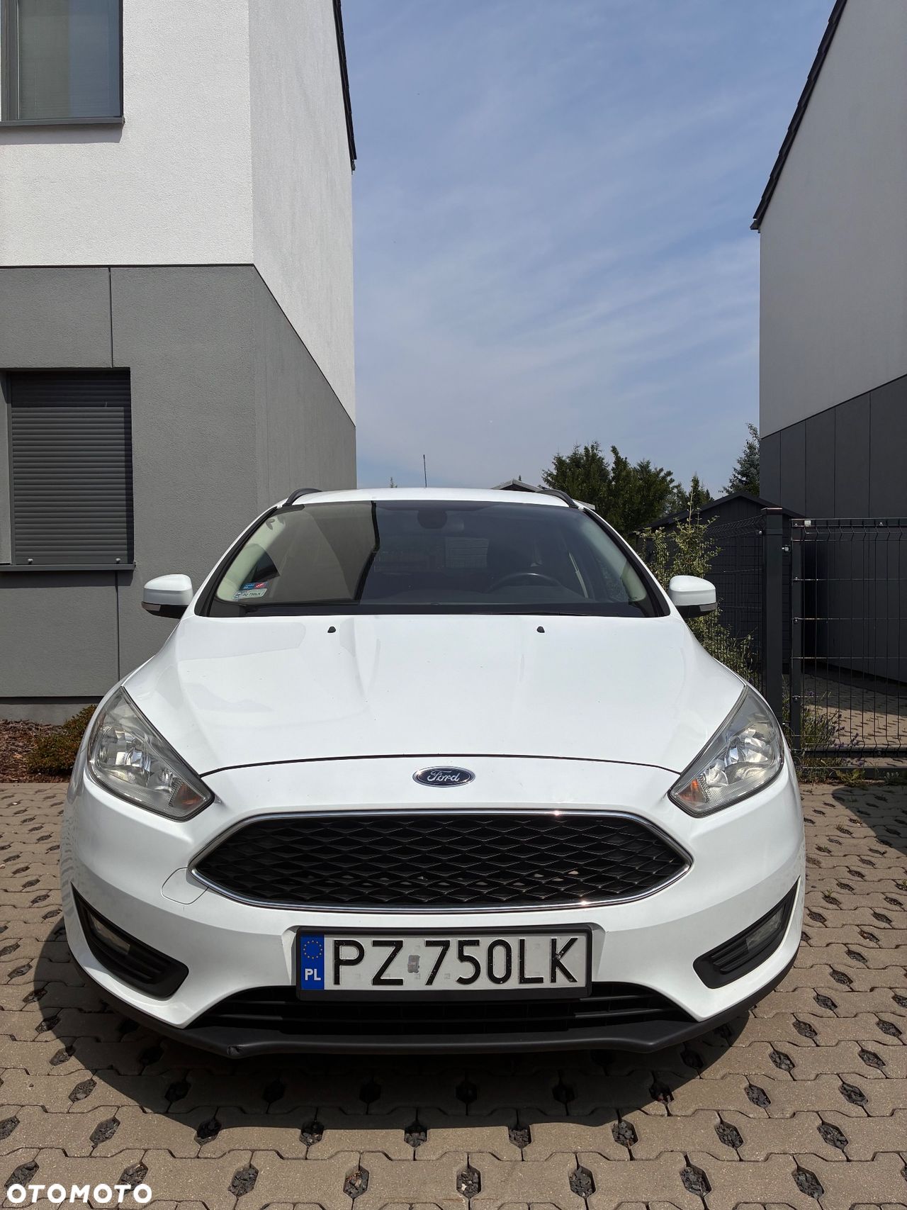 Ford Focus 1.5 TDCi Trend 2015, biały kombi - zdjęcie główne